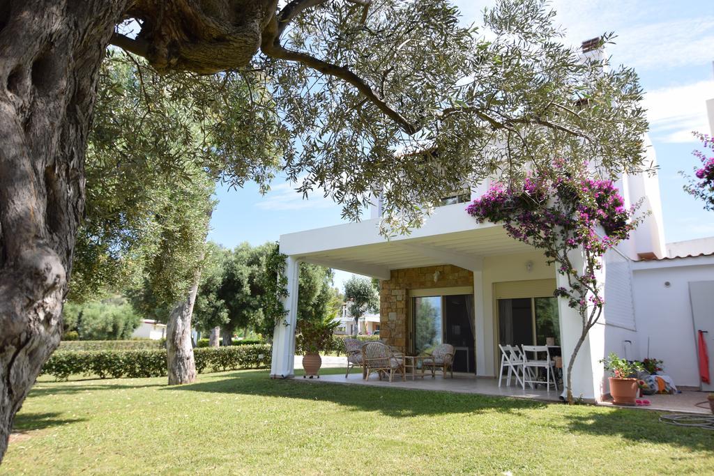 Villa Anemi Неа-Скиони Экстерьер фото